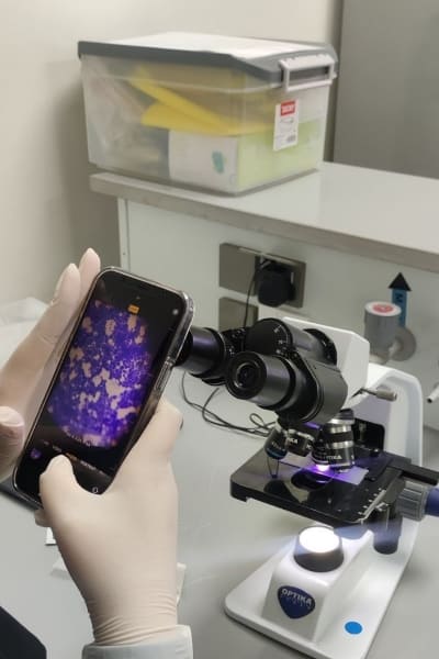 aetiovet lab